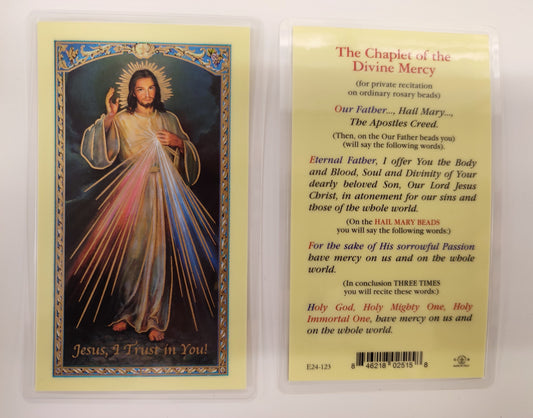 Divine Mercy Prayer Laminated Holy Card
