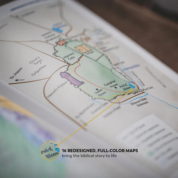 Holy Bible: The Great Adventure Catholic Bible, 2nd Edition - Paperback