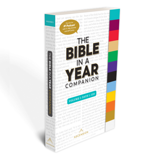 Bible in a Year Companion (Volume 1)