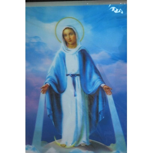 Our Lady Grace 3D Art Paint