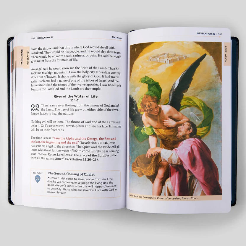 The Great Adventure Catholic Bible for Young Beginners