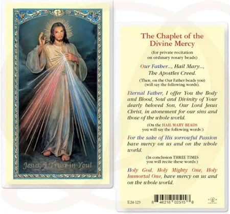 Divine Mercy Prayer Laminated Holy Card