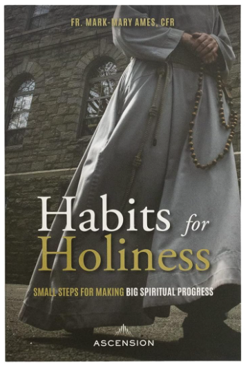 Habits for Holiness: Small Steps for Making Big Spiritual Progress