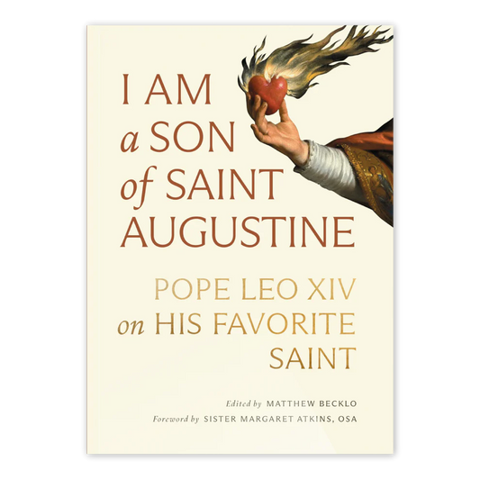 I Am a Son of Saint Augustine - Pope Leo XIV on His Favorite Saint - Paperback