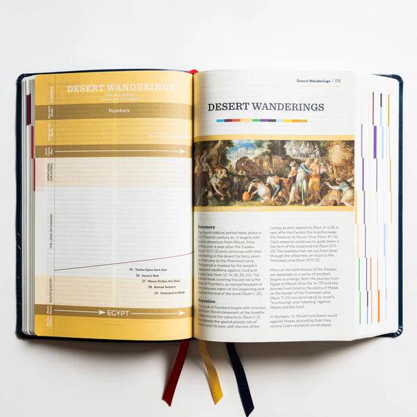 Holy Bible: The Great Adventure Catholic Bible, 2nd Edition - Large Print