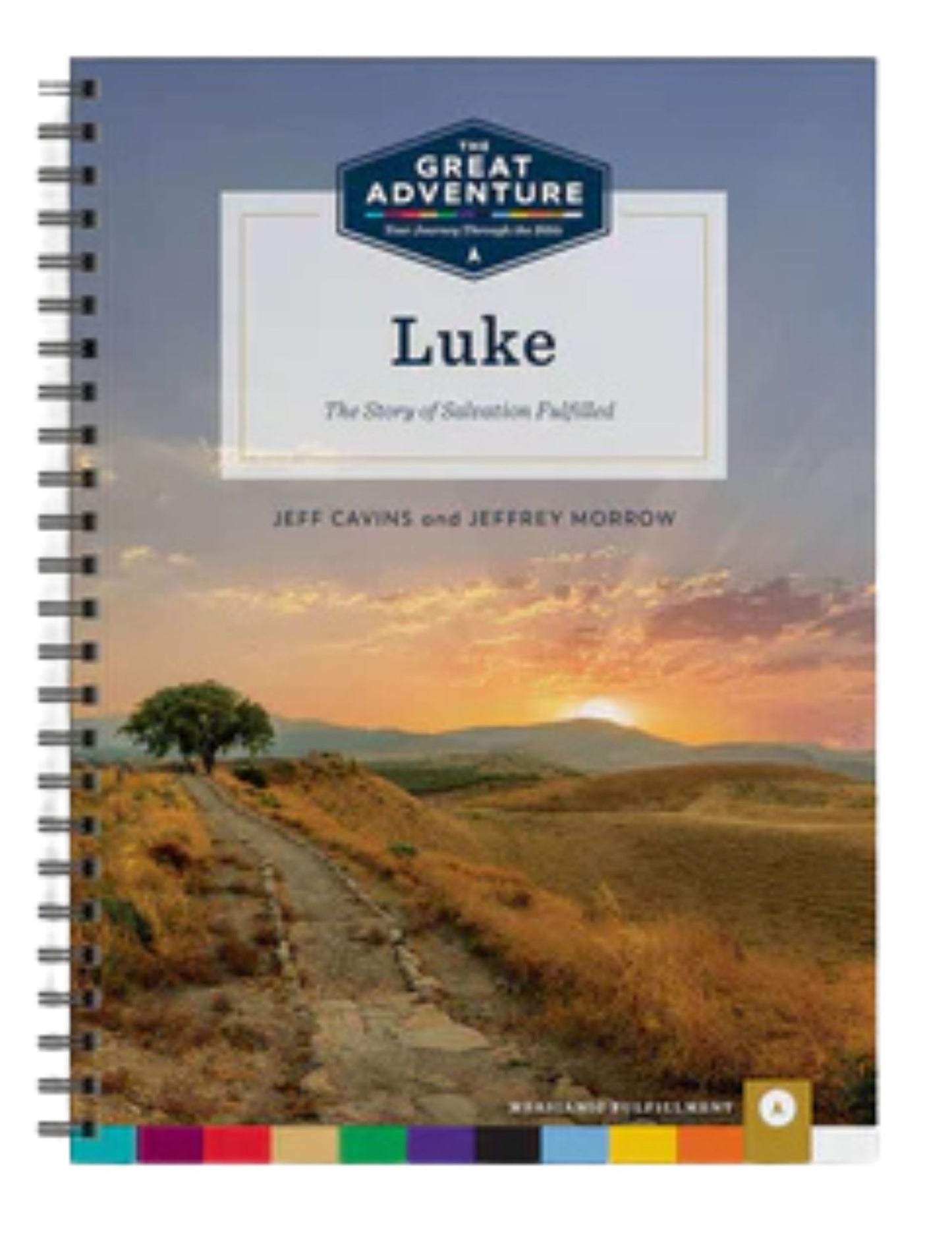 The Luke: The Story of Salvation Workbook