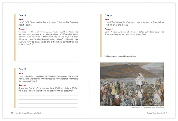 The Luke: The Story of Salvation Workbook