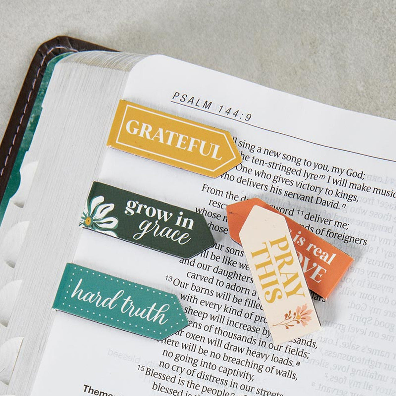 Magnetic Bookmarks: His Promises (6-pack)