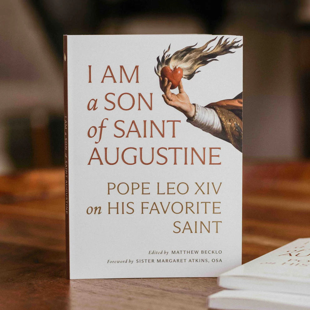 I Am a Son of Saint Augustine - Pope Leo XIV on His Favorite Saint - Paperback