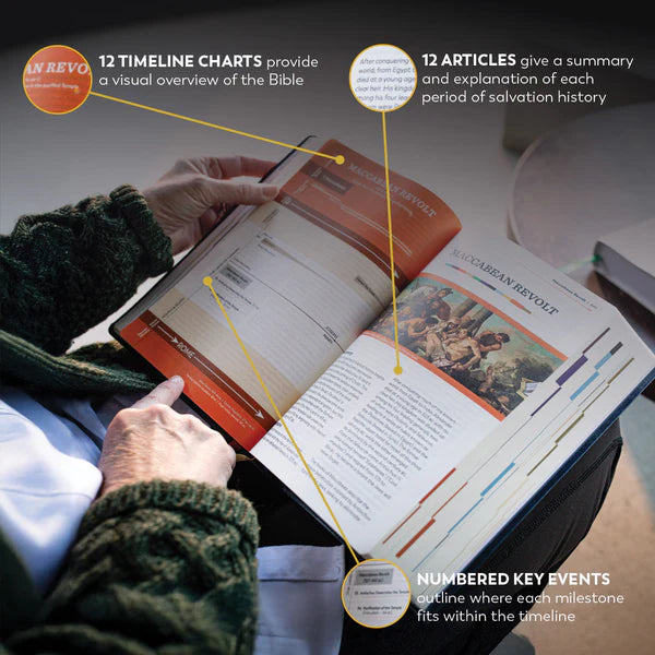 Holy Bible: The Great Adventure Catholic Bible, 2nd Edition - Large Print