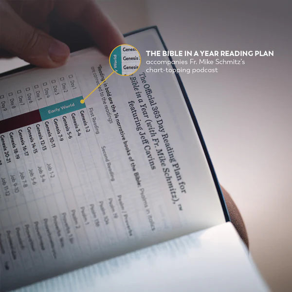 Holy Bible: The Great Adventure Catholic Bible, 2nd Edition - Large Print