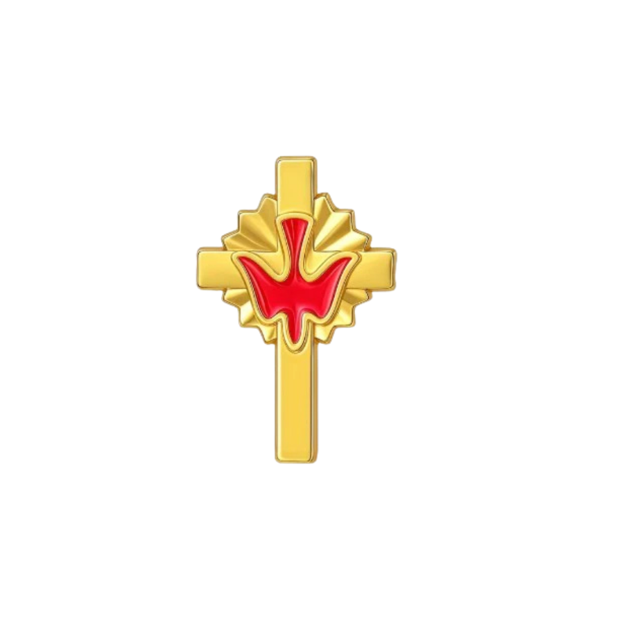 Holy Spirit Confirmation Pin
