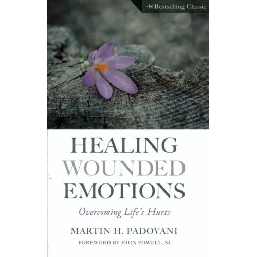 Healing Wounded Emotions Overcoming Life's Hurts