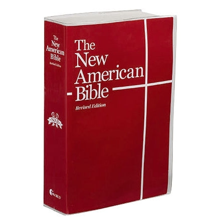 Clear Vinyl Bible Cover