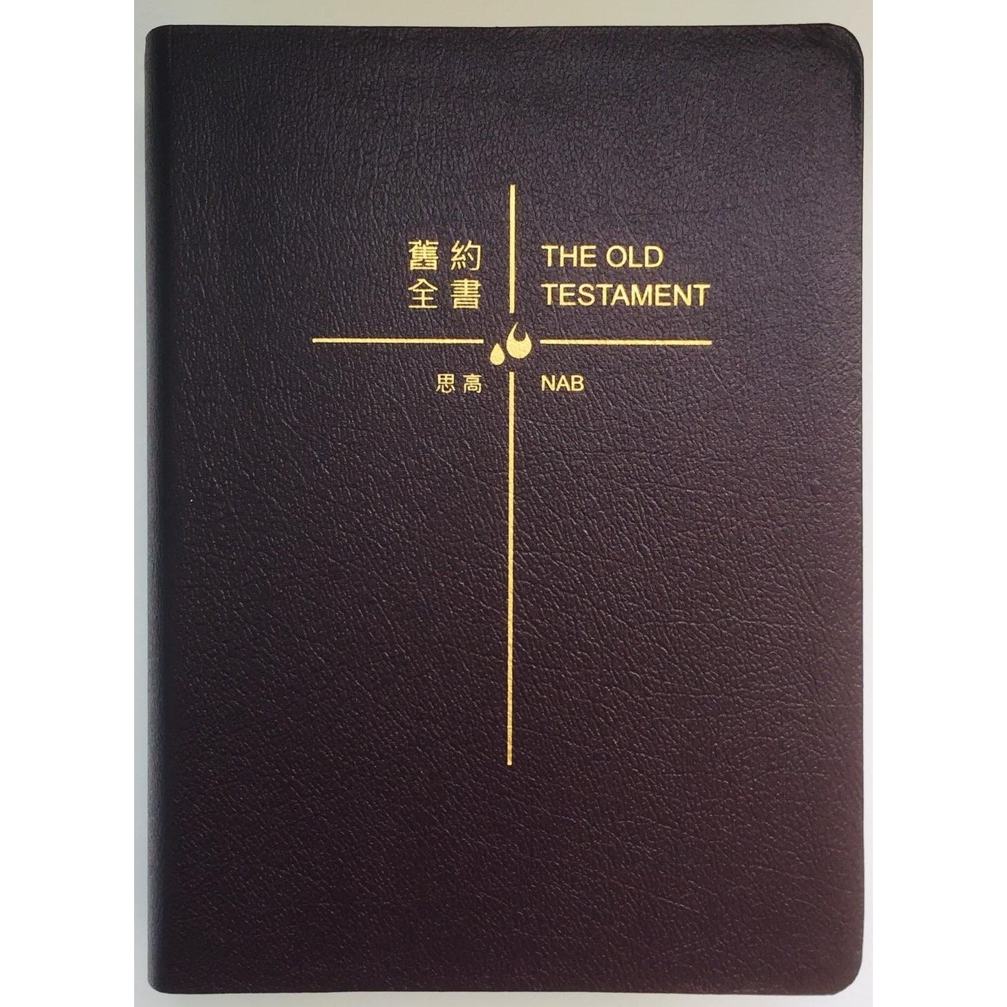 CB - The Old Testament (Traditional Chinese-English Edition) – FLL ...