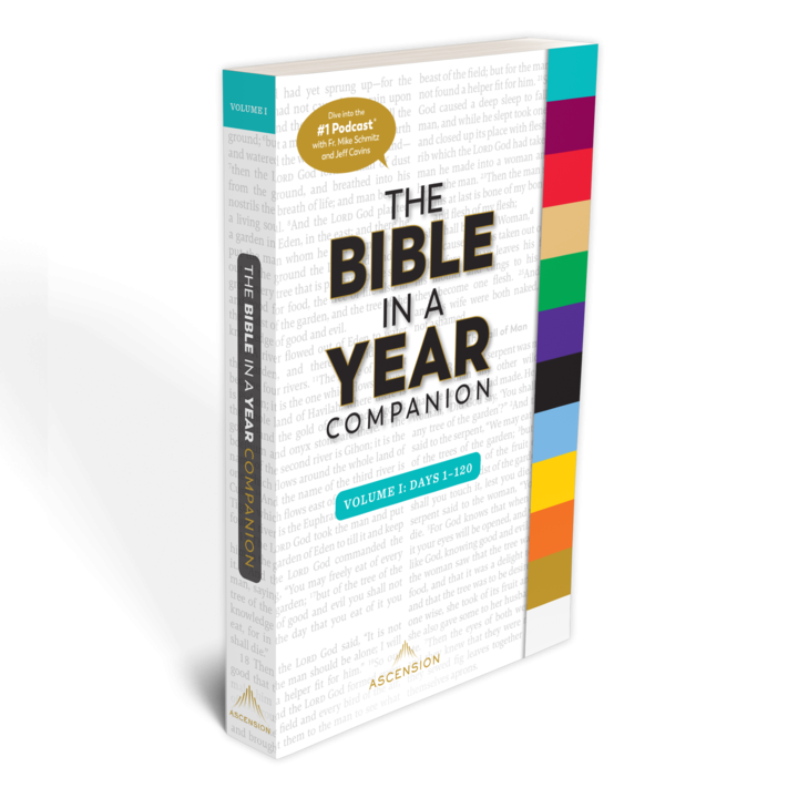 Bible in a Year Companion (Volume I)