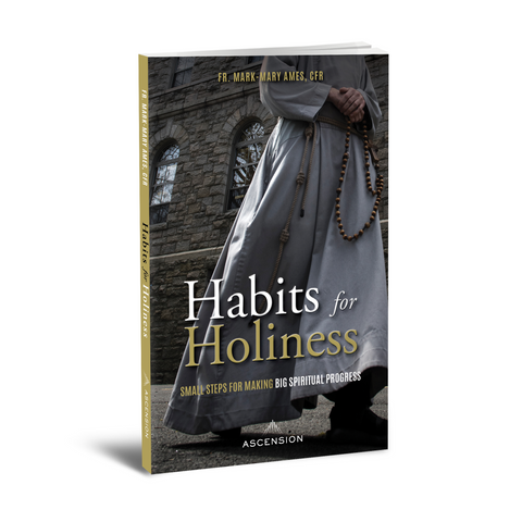 Habits for Holiness: Small Steps for Making Big Spiritual Progress