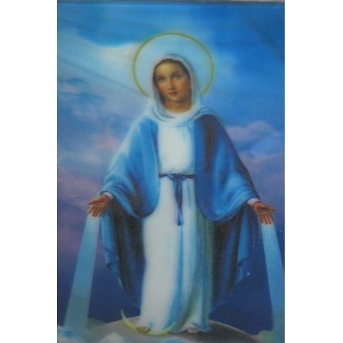 Our Lady Grace 3D Art Paint (12/pk)