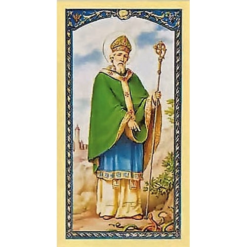 St. Patrick Laminated Holy Card